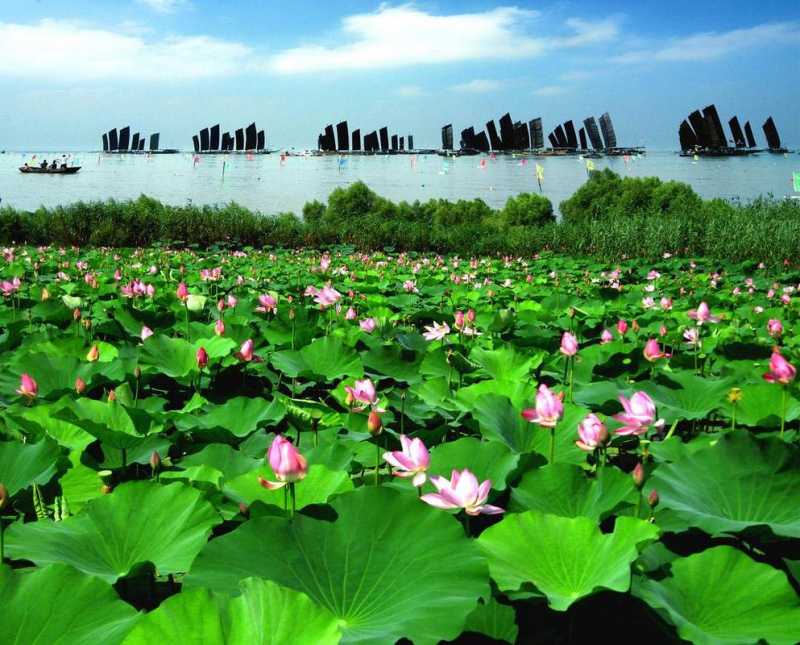 洪泽湖旅游景点哪儿好玩的地方_洪泽湖景点哪里值得旅游