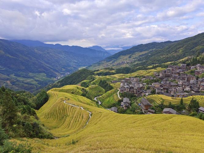 龙脊古壮寨梯田观景区_龙脊梯田简介 景区