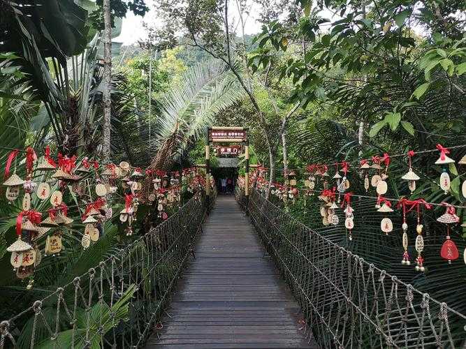 三亚呀诺达热带雨林景区_三亚呀诺达热带雨林旅游攻略