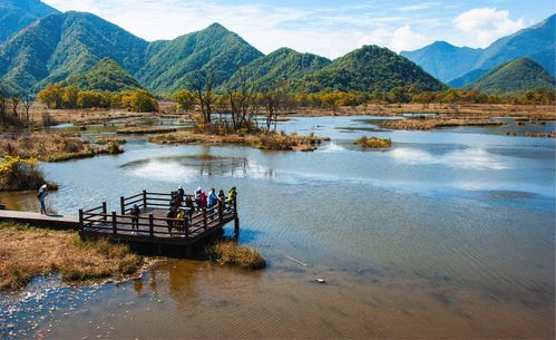 神农架大九湖景点介绍-神农架大九湖景点介绍台词