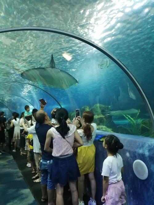 海洋水族馆_海洋水族馆游玩时间