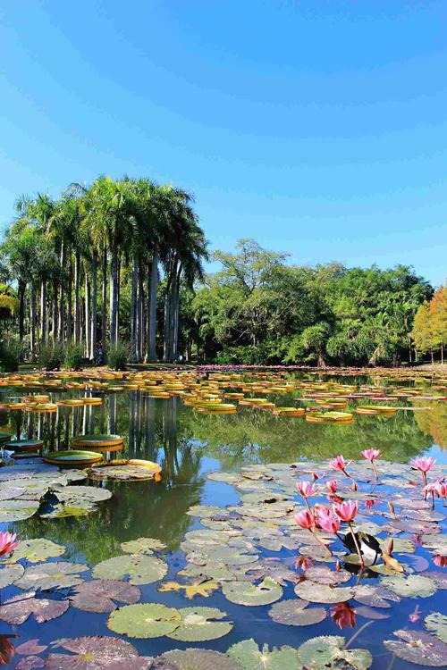 西双版纳三天旅游攻略-西双版纳三天旅游攻略必去景点