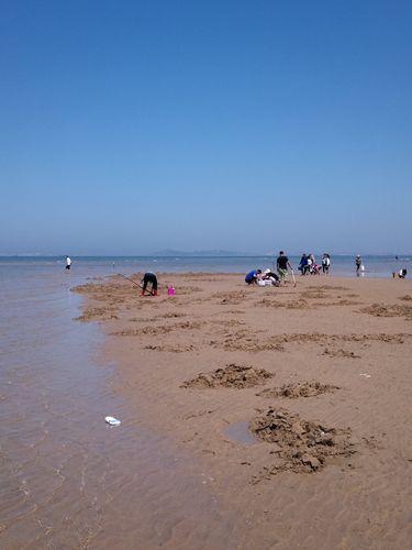 白沙湾黄金海岸_白沙湾黄金海岸图片