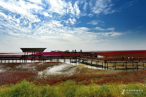 盘锦红海滩湿地公园_盘锦红海滩湿地公园收费吗