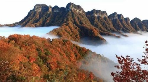 巴中光雾山最佳旅游时间_巴中光雾山最佳旅游时间表