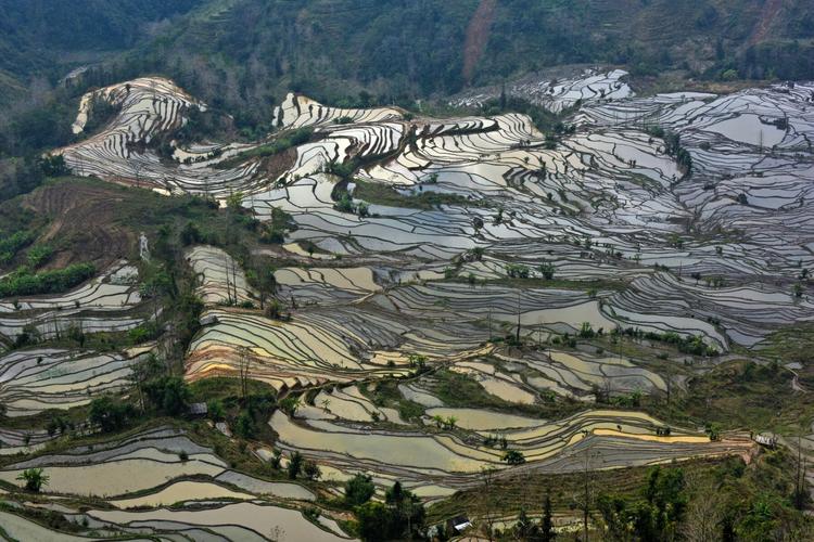 元阳梯田景区_元阳梯田景区电话号码