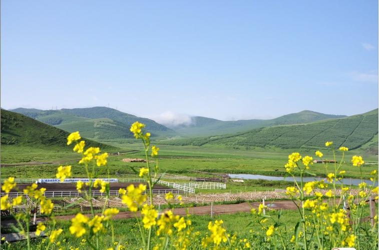 张北坝上草原天气15天_张北坝上草原天气15天预报