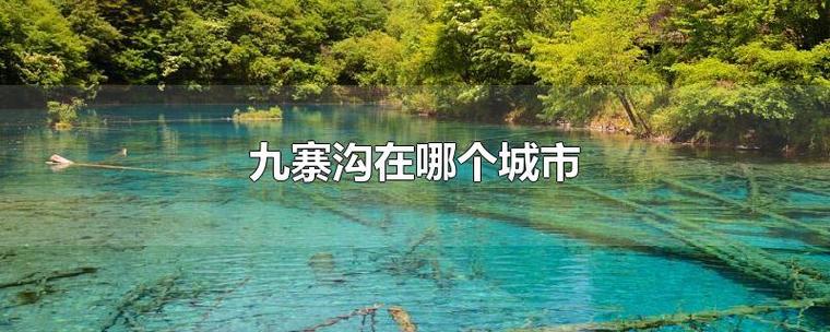 安徽九寨沟在哪_九寨沟在安徽哪个城市